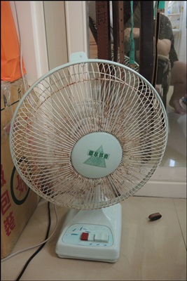 小電扇