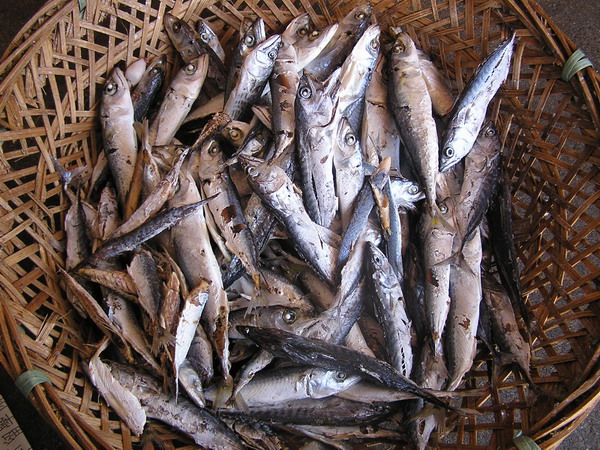 大啖美味澎湖魚乾