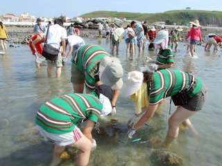 成發東海一日遊踏浪
