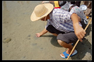 成發東海一日遊踏浪
