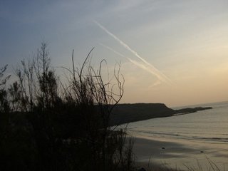 網垵沙灘照片