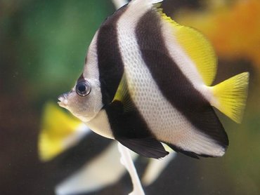 澎湖水族館