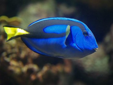 澎湖水族館