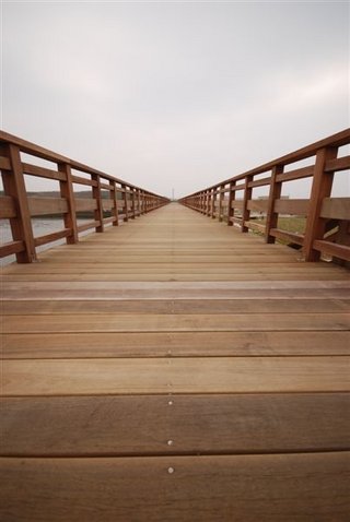 去年年底鋪設完成的木棧道