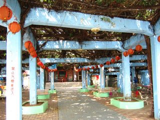 港子百年老榕樹所環抱出的林蔭在夏天酷熱的午後特別能夠領略它的妙處