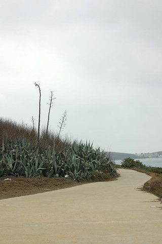 學仔尾連外水泥道