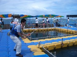 海上牧場