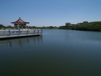 中午在賞鳥亭內小憩可以避暑又可以觀賞候鳥