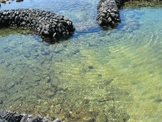 雙心石滬的滬房內海水清澈，現在的魚撈資源有點枯竭，幾十年前的雙心石滬可是抓魷魚以及臭肉魚的高手呢