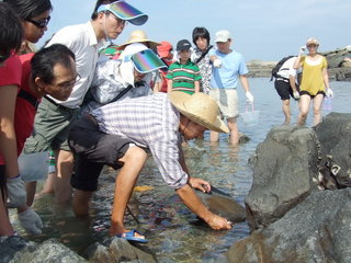 踏浪的現況，正在看錢鰻
