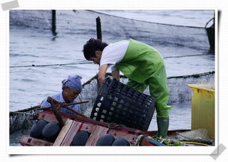 船屋民宿陳扶氣大哥的公子