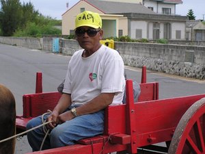 擁有十幾輛牛車的阿伯如果在古代農業社會中，就是名副其實的好野人了！