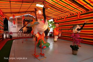 2007年澎湖元宵節活動影展-毒蠍子