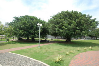 相對公園