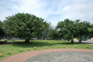 相對公園
