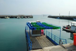 東安與星光海上牧場船隻出港口