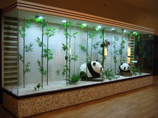 內部裝潢可看見許多動物模型的身影