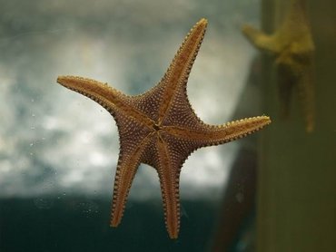 澎湖水族館
