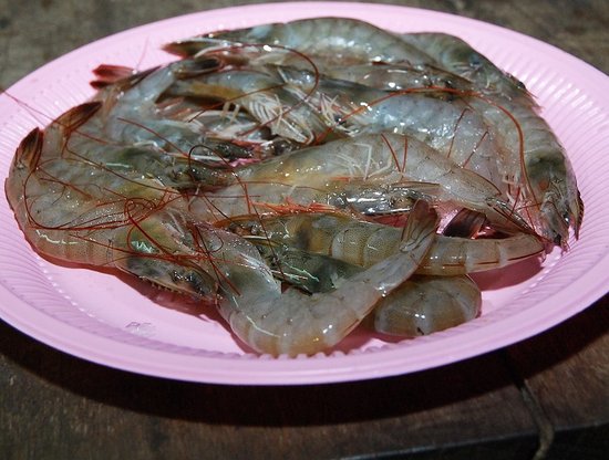 草蝦一大盤，鮮度跟蝦肉結實度很夠