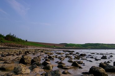 網垵沙灘