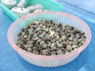 成發東海一日遊海上平台