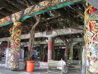 不想花錢去水族館的的站友，中午在通梁用餐後就可以到榕樹下休息