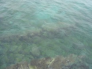 離開前，對這一片西嶼坪碼頭邊的碧綠清脆仍是不捨～下次？是何時？