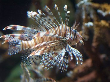 澎湖水族館