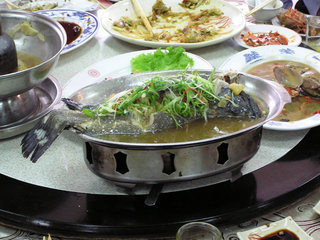 清蒸石斑魚，這一尾石斑是海生的，肉質特別嫩，歹歹魚一步鮮，好魚就是要吃原味，新鮮魚拿來清蒸絕對是上品，別只吃肉，那些湯汁才是精華