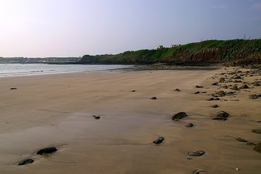 網垵沙灘