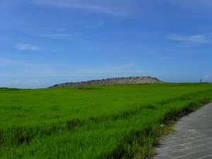 夏天二崁草原色調就是簡單的綠搭配濃烈的藍，視野則是「一望無際」這四個字