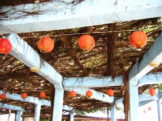 因應樹木橫生所以必須搭建一些支架支撐樹木擴張的氣根