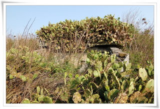 蛇頭山荷蘭城遺址