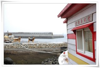 這兩位老兄搶什麼鏡頭,你們的介紹在這裡啦:船屋民宿的狗狗