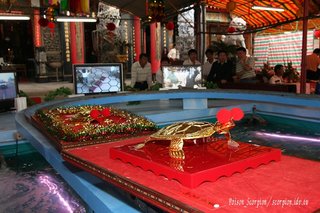 2007年澎湖元宵節活動影展-毒蠍子