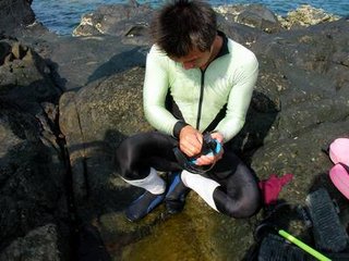 生長在海底的神奇防霧海綿