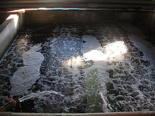 業者會定期的放水與進水