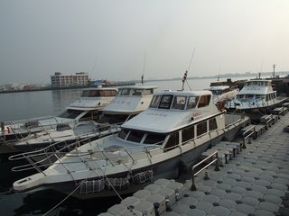 南海之海安快艇
