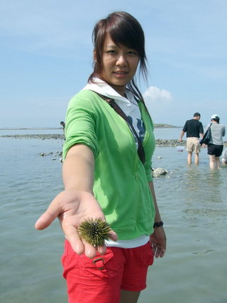 成發東海一日遊踏浪