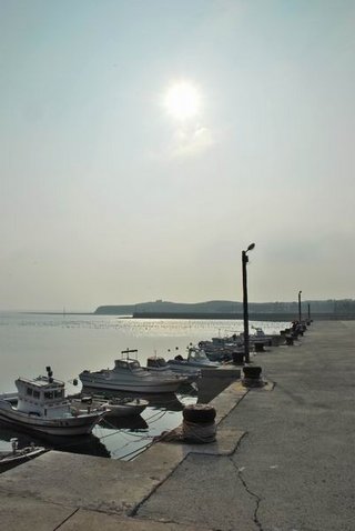 這邊大多是村民娛樂性質的釣魚船艇