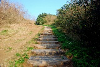 沿著土坡道上爬