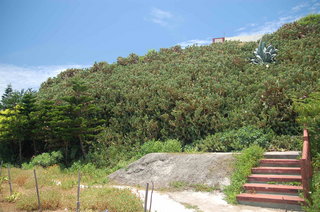 赤崁仙人掌公園有步道可以前往上面涼亭