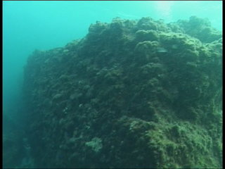 實際潛水的畫面