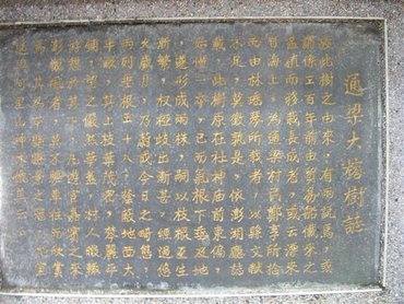 通梁古榕樹